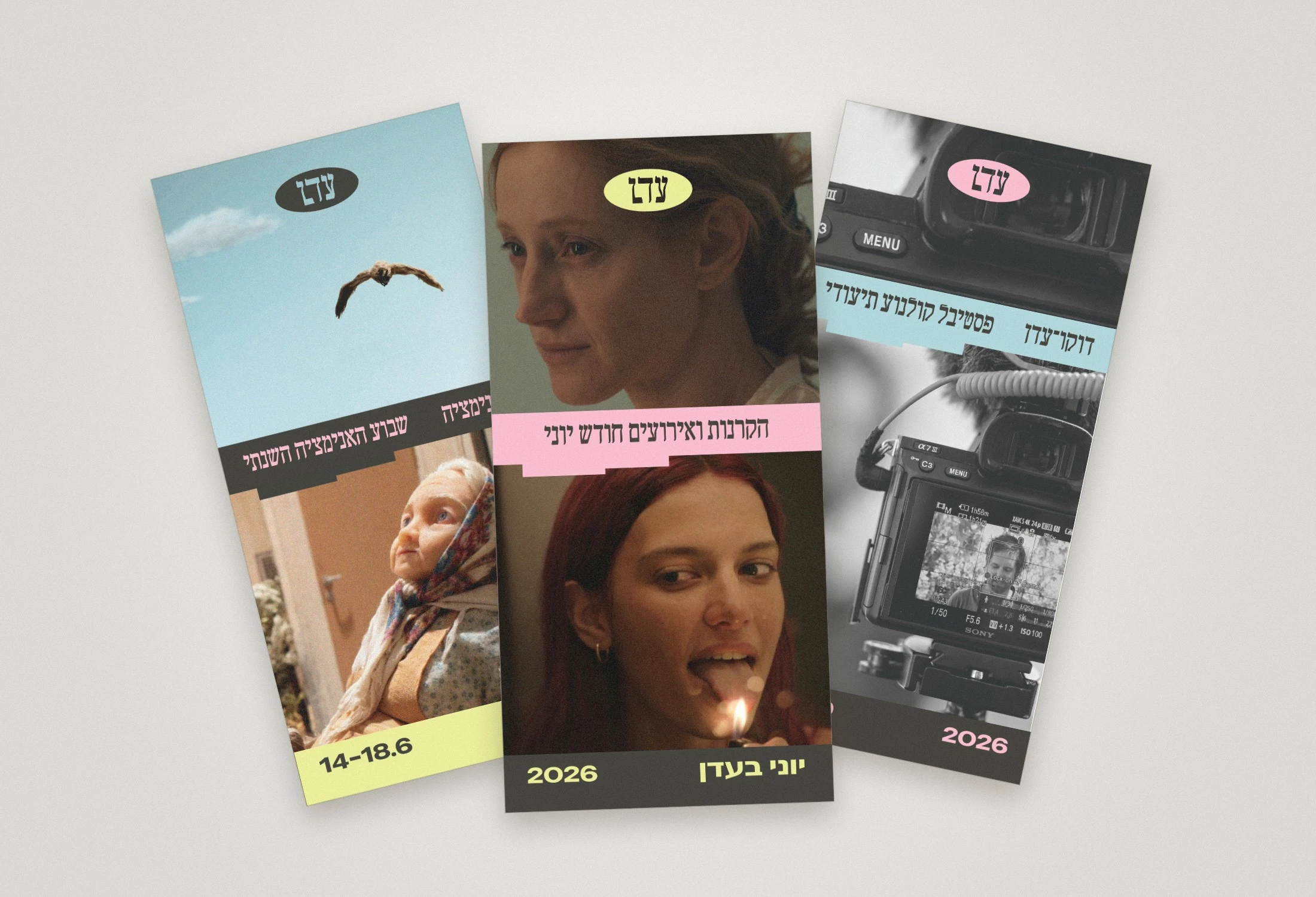Three Eden brochure covers stacked: animation week, June programme, documentary festival