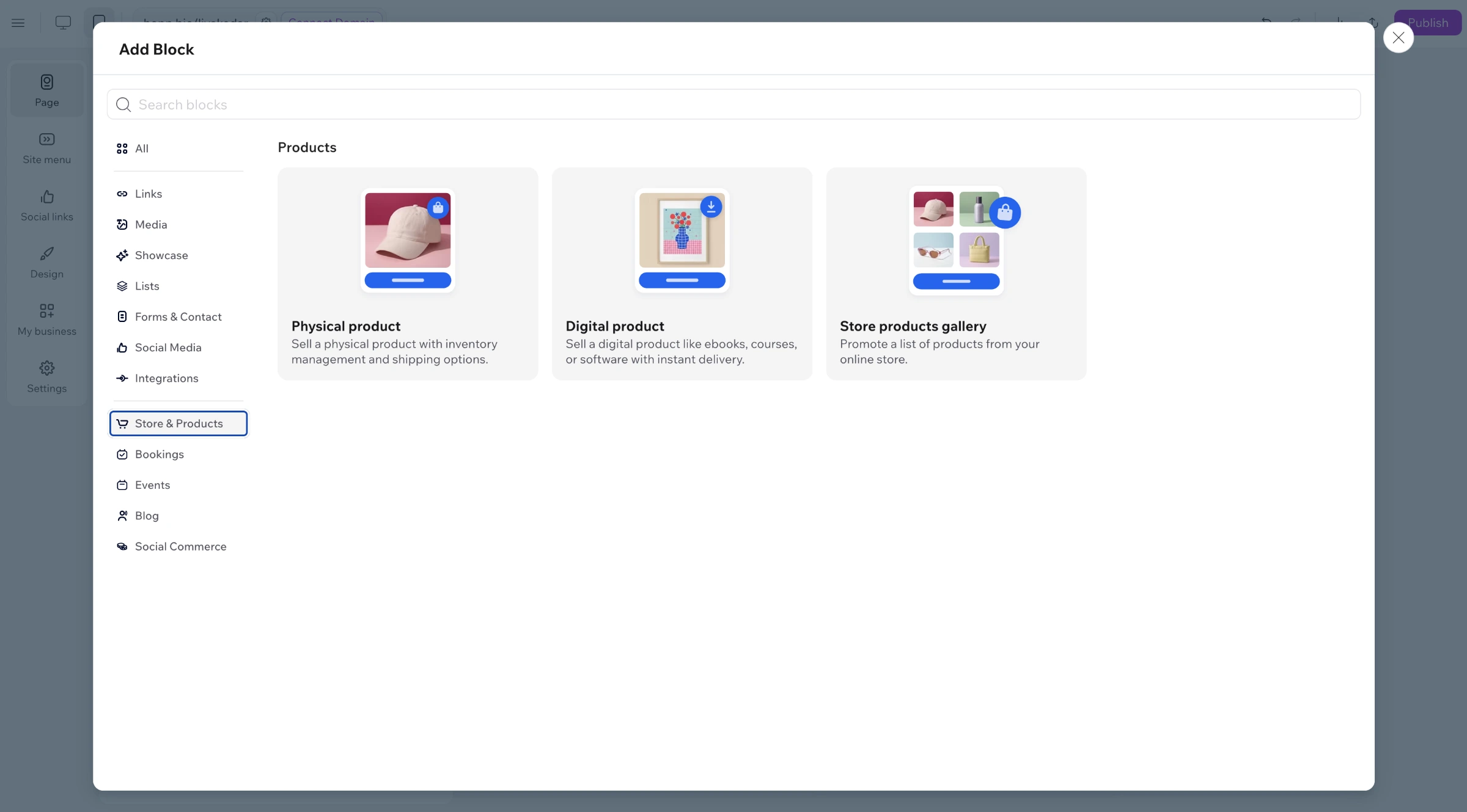Add Blocks panel - Store and Products